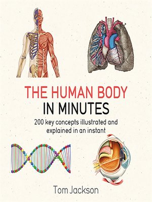 cover image of The Human Body in Minutes